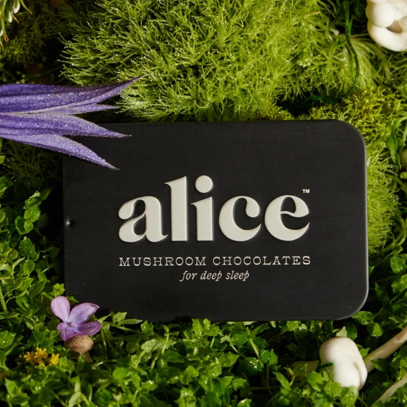 Alice Nightcap Mushroom Chocolate