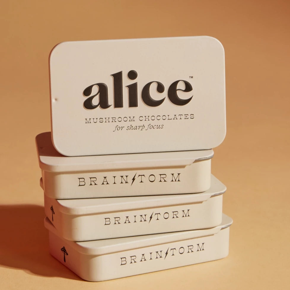 Alice | Brainstorm Mushroom Chocolate