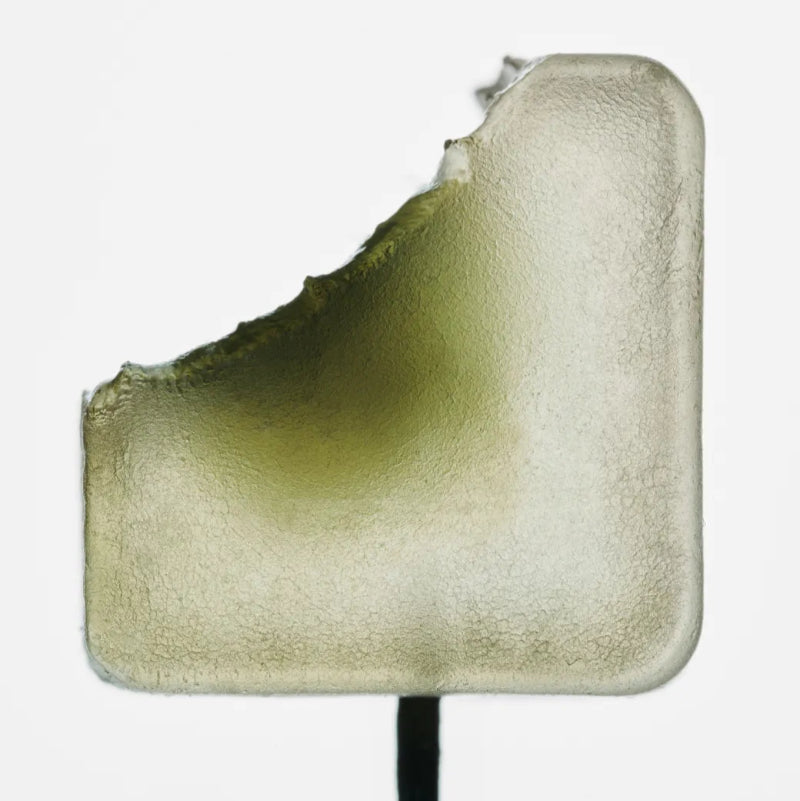 Noon | Chill Mushroom Gummies