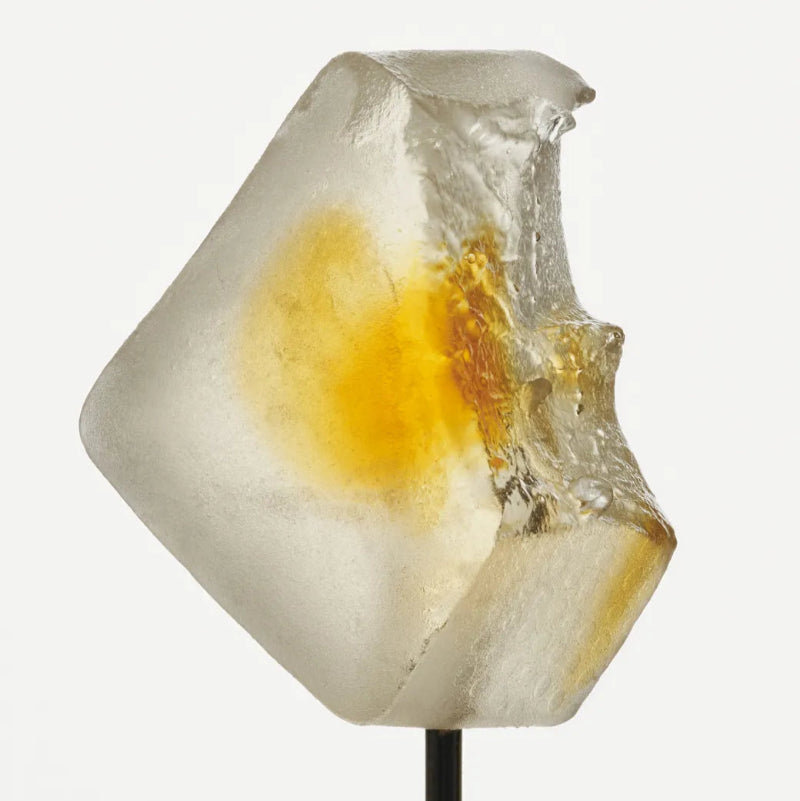 Noon | Focus Mushroom Gummies