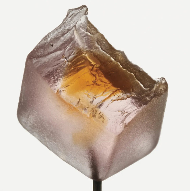 Noon | Sleep Mushroom Gummies