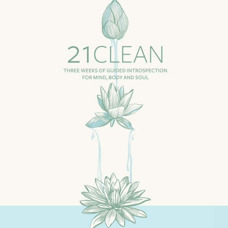 21-clean-book