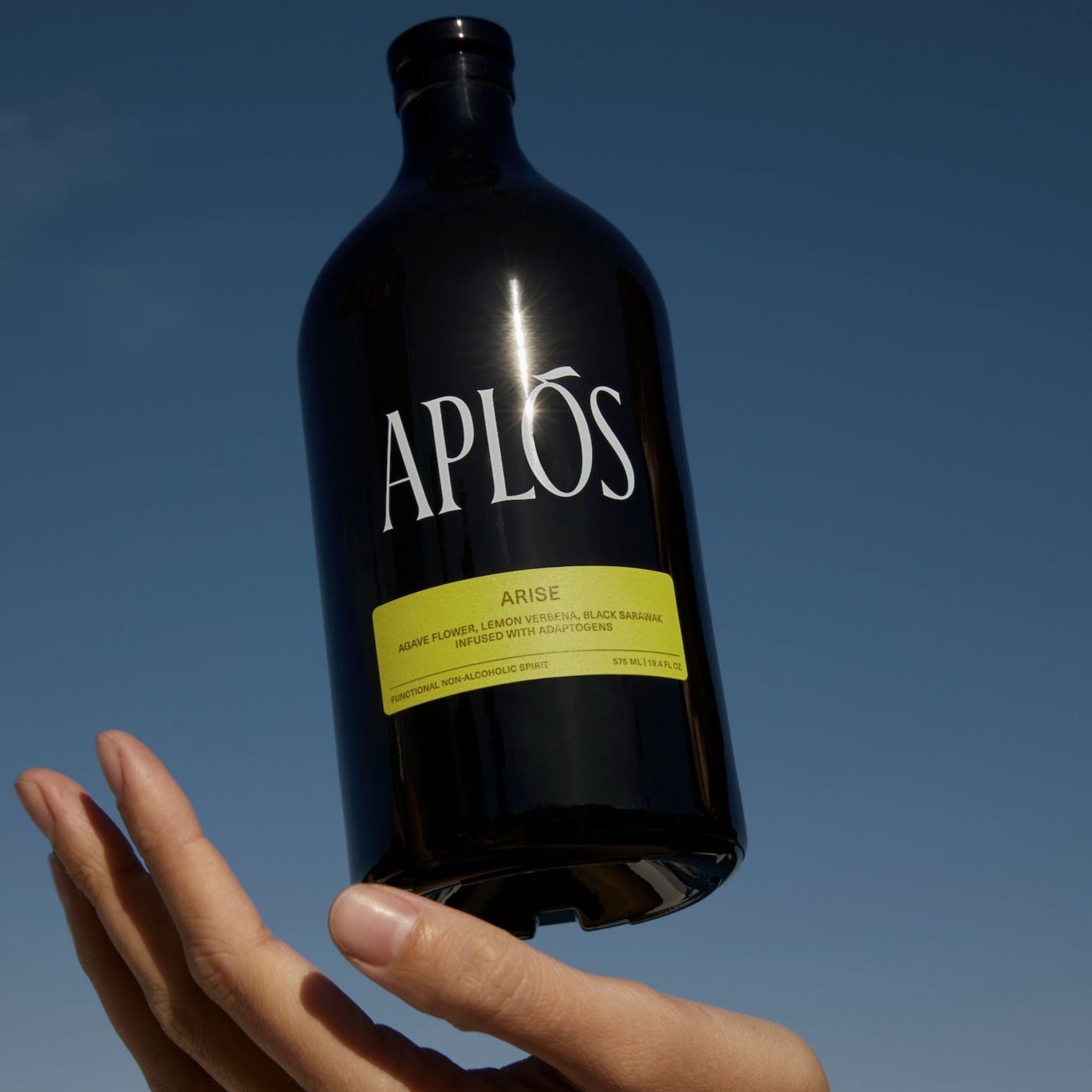 Aplós | Arise – Sèchey