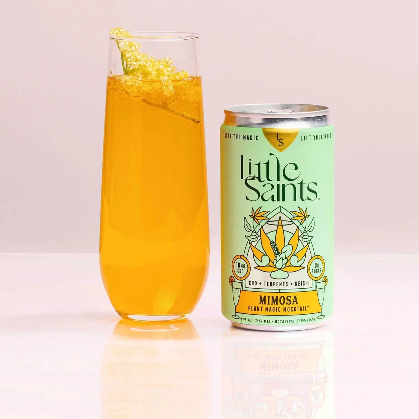 Little Saints | Mimosa